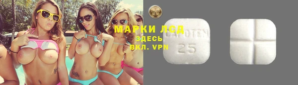 эйфоретик Алексин