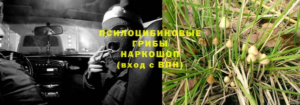героин Алзамай