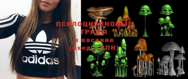 героин Алзамай