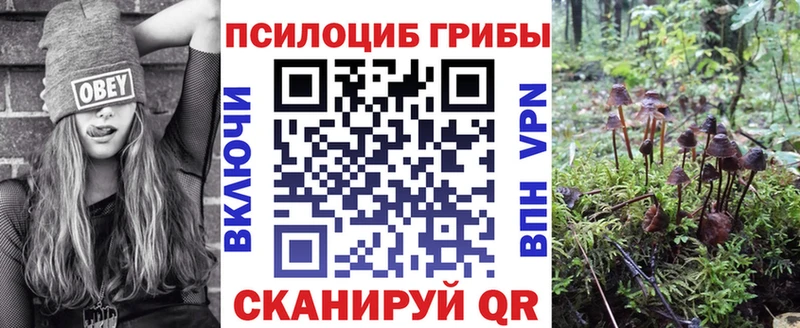 Псилоцибиновые грибы прущие грибы  Палласовка 